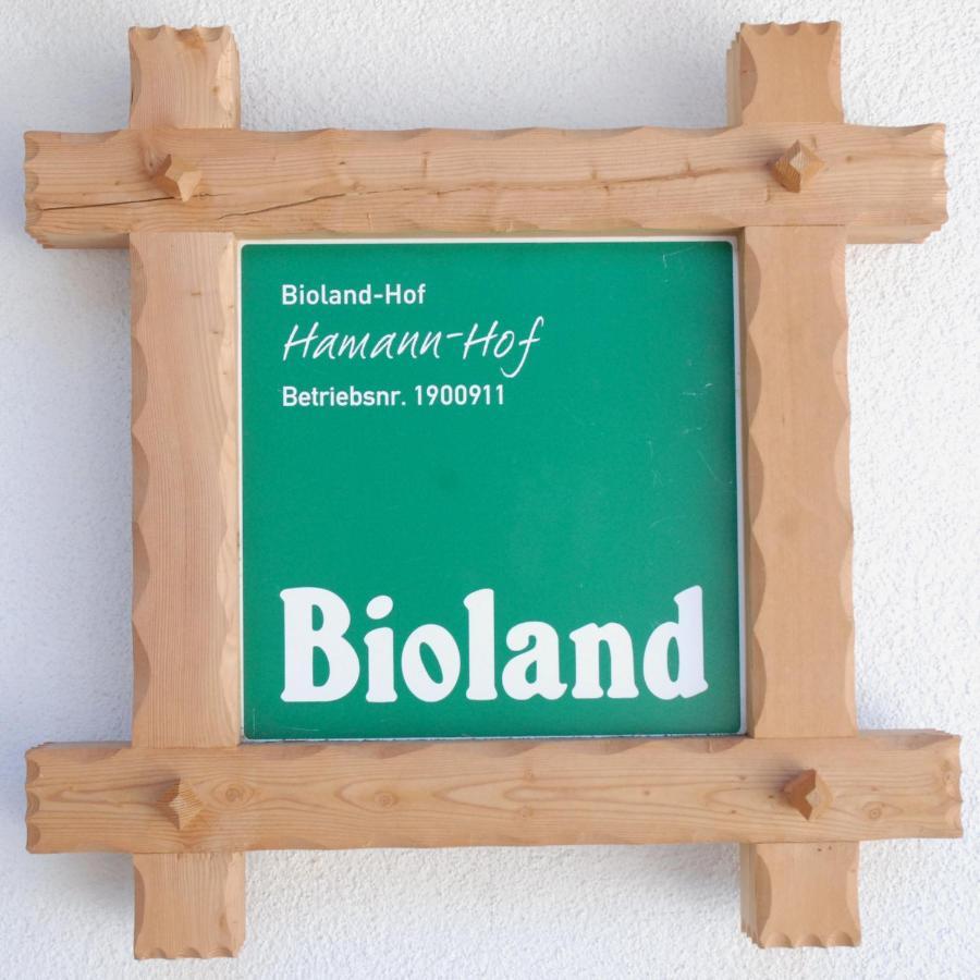 Biohof Hamann Villa Sarentino Kültér fotó