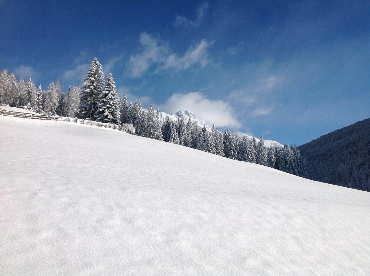 Biohof Hamann Villa Sarentino Kültér fotó